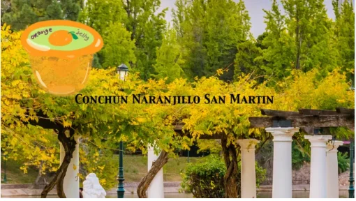 conchun naranjillo san martin