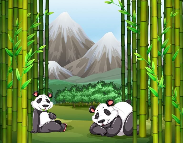 pandarenkuma