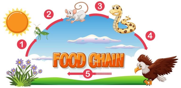 what animals eat snakes